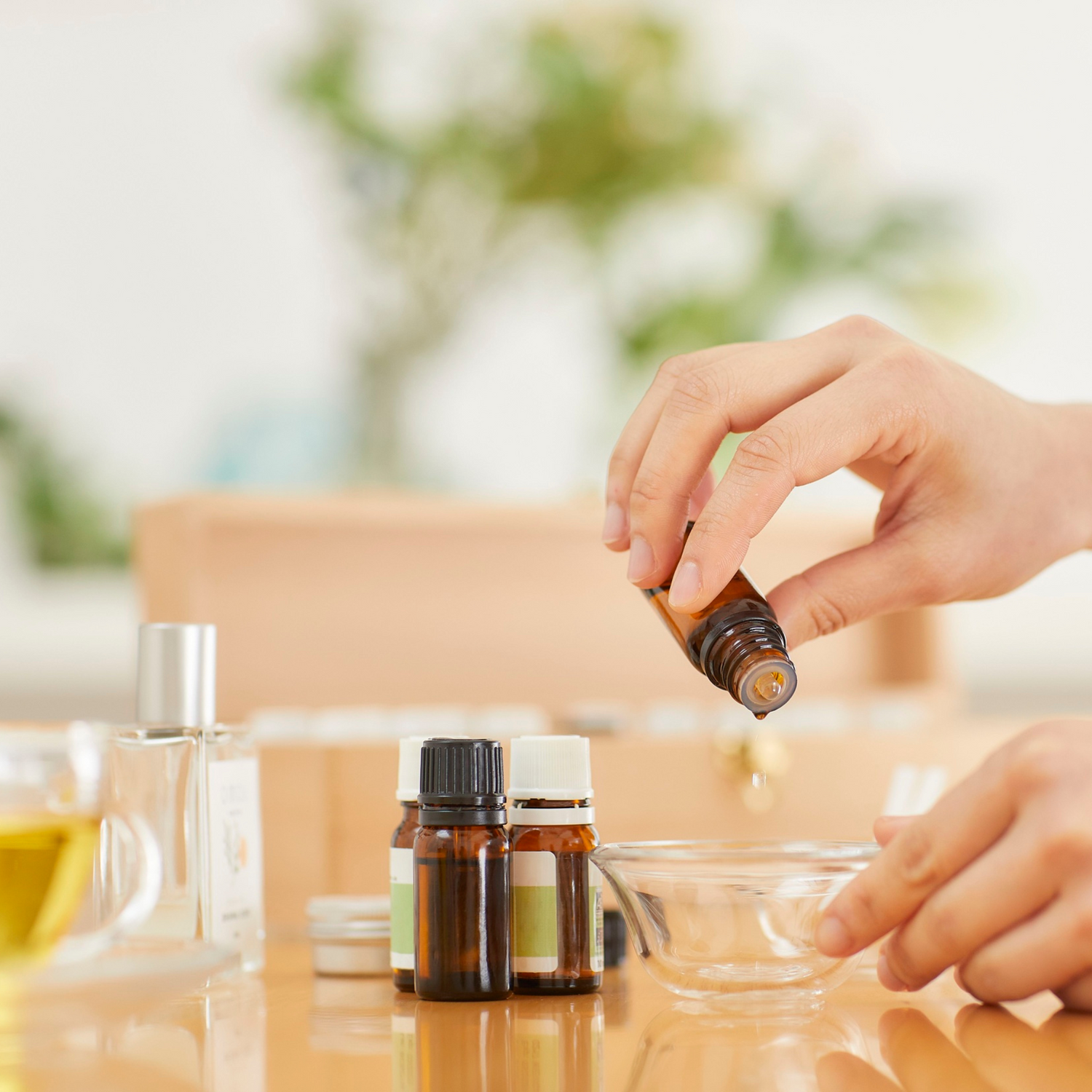 Teebaumöl Wirkung: Anwendung für Haut, Haar und Wohlbefinden